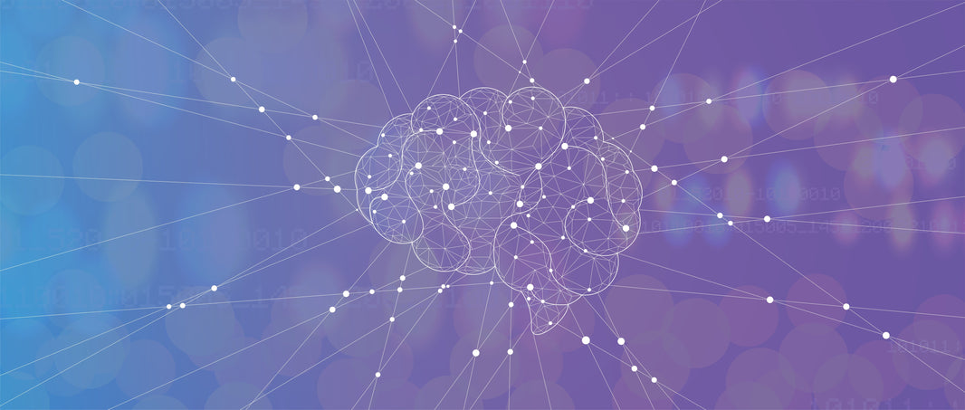 Neuro Webdesign 2.0 – Neue Auflage. Neue Produkte. Und ein Blick in die Zukunft.