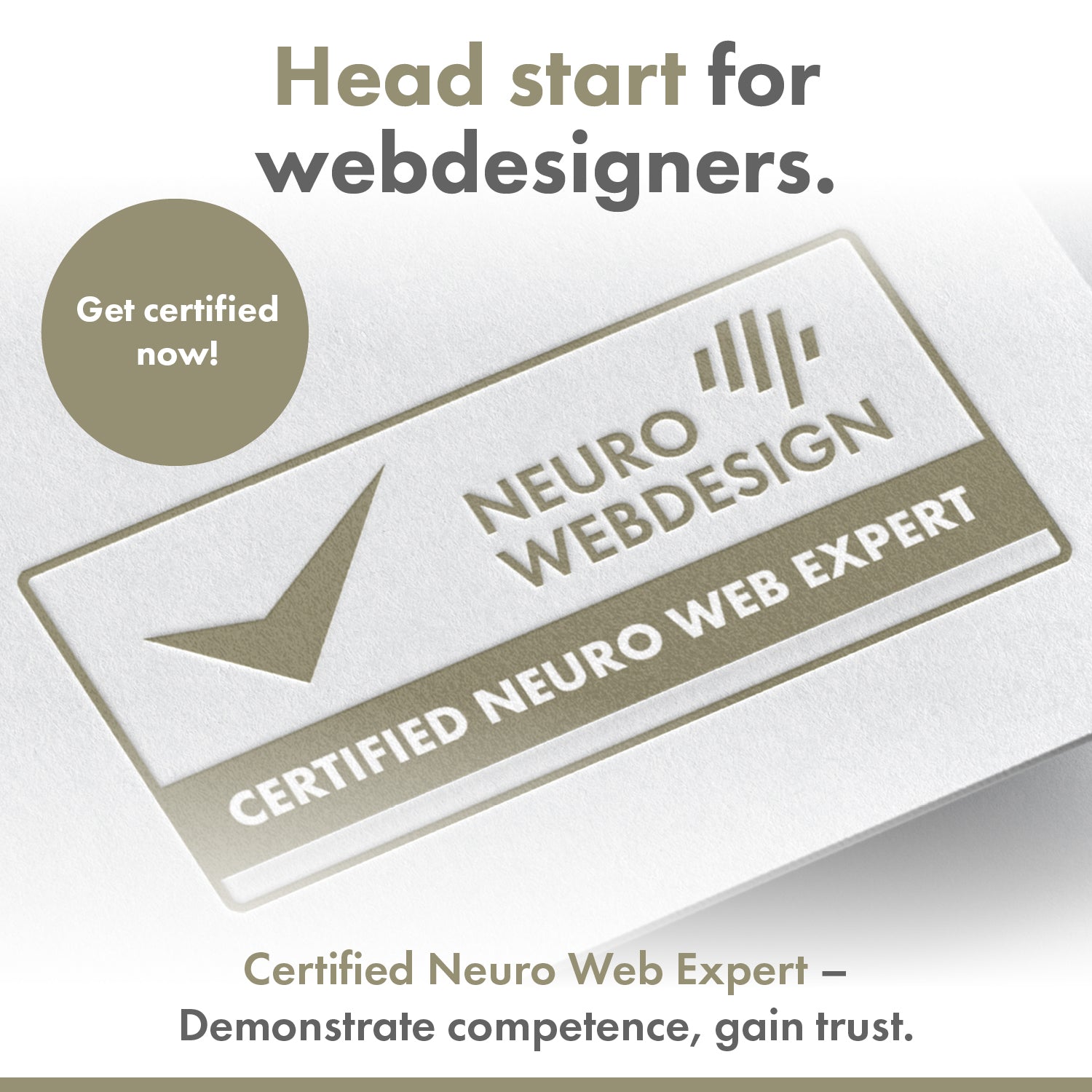 Certification “Certified Neuro Web Expert” | EN