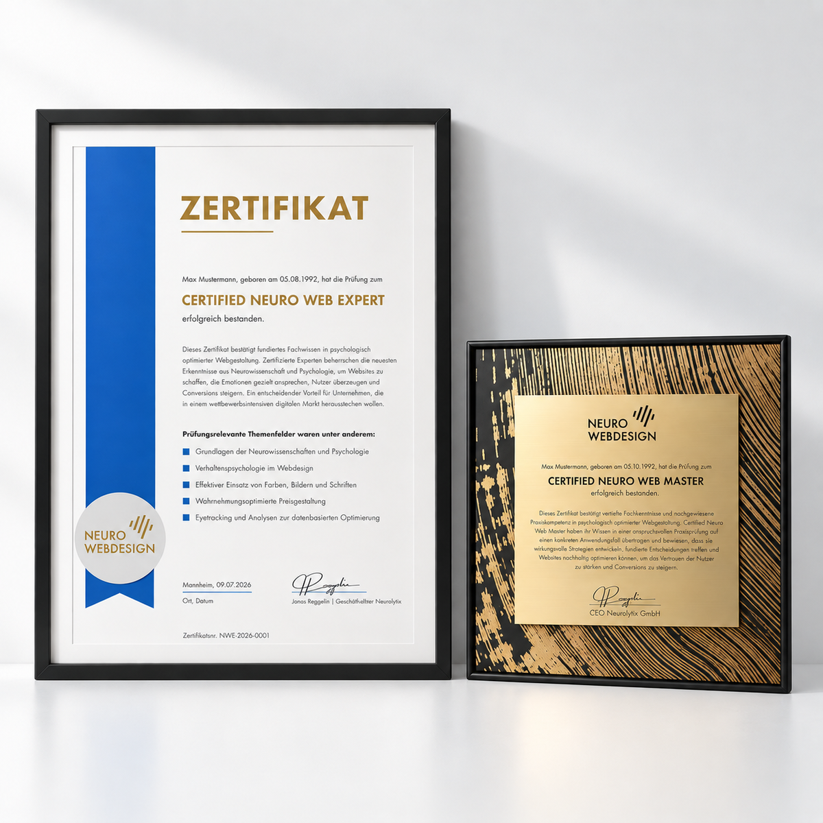 Neuroboost – Expert-Zertifikat und Master-Auszeichnung